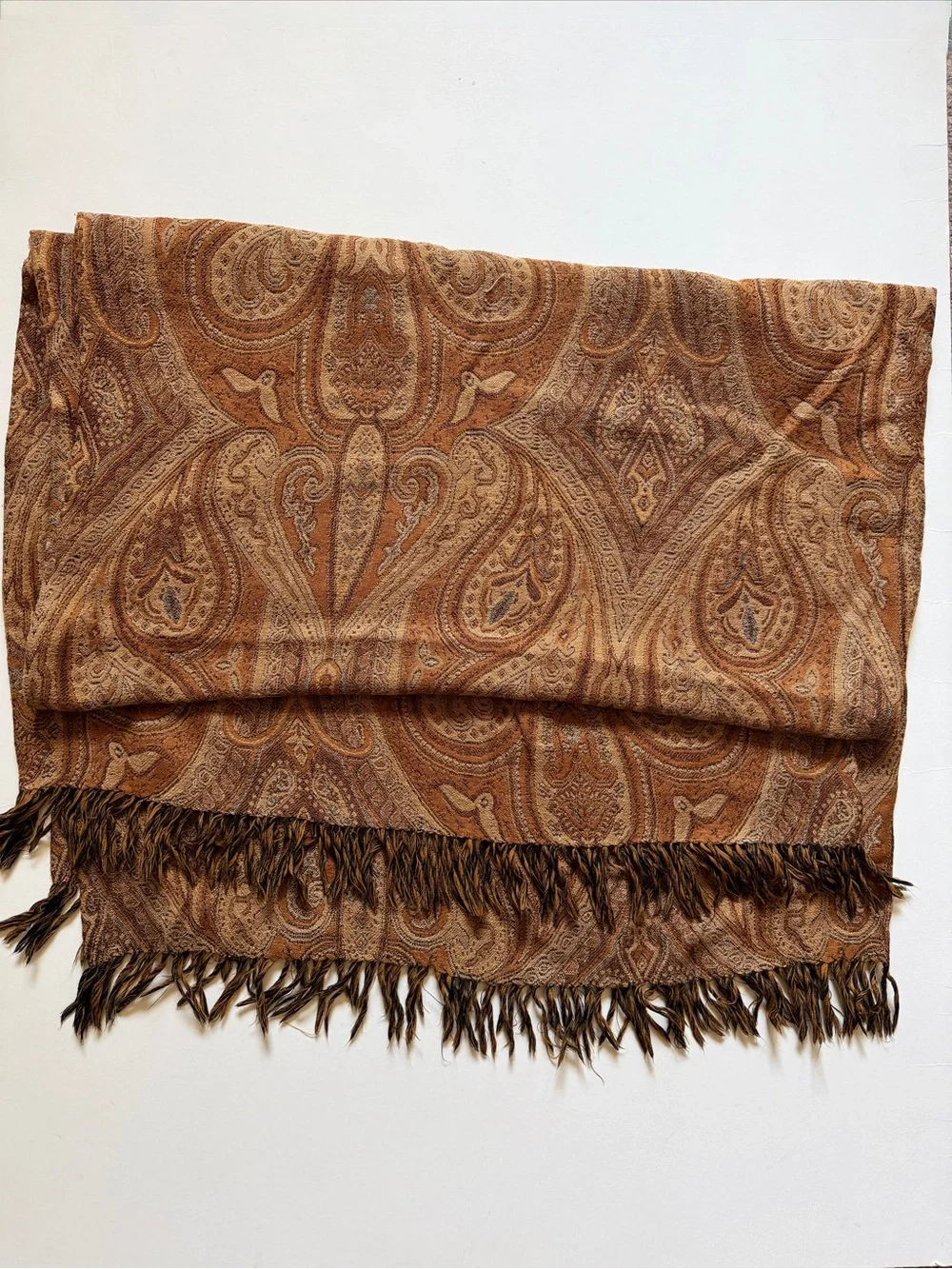 Restoration Hardware Paisley Print Fringe Throw
